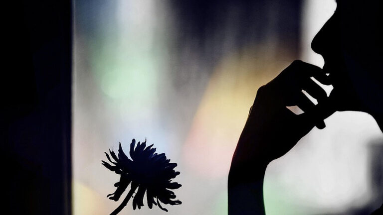 Silhoutte of a woman sitting by a flower, still grieving the loss of her mother alone